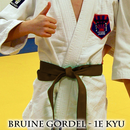 Bruine Gordel