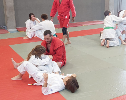 Sambo